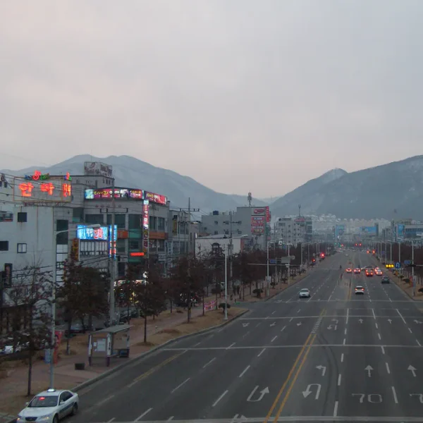웰니스 로제웰빙 테라피 안내 이미지