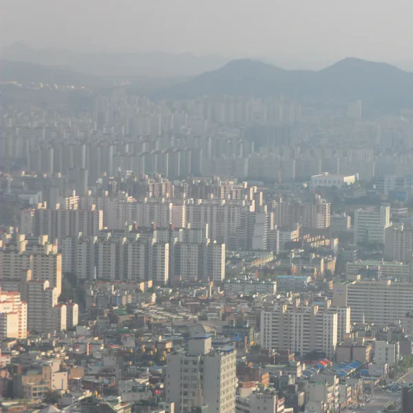 블랑 아델아지트 테라피 안내 이미지