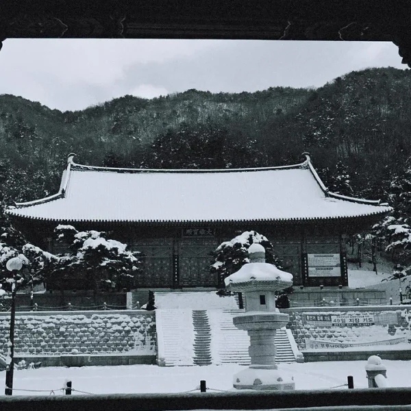 프리미엄 아린스튜디오 테라피 안내 이미지